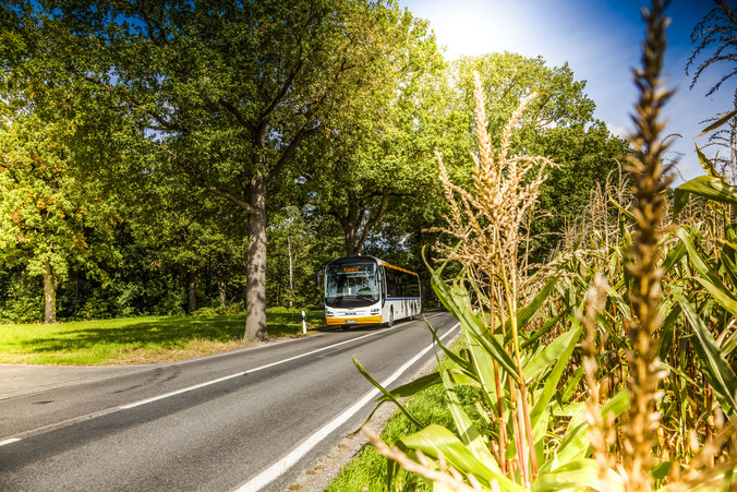 Ein Linienbus fährt über eine Landstraße. Am linken Straßenrand Wald, am rechten ein Maisfeld.