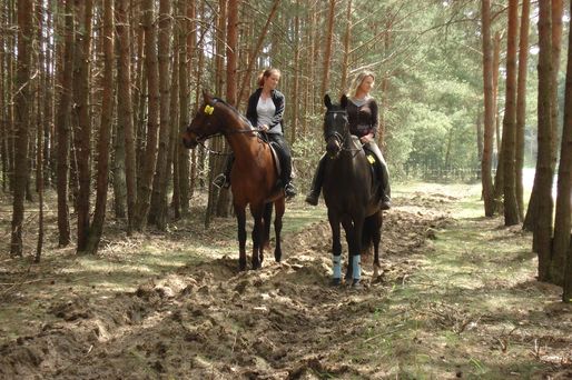 zwei Reiterinnen im Wald