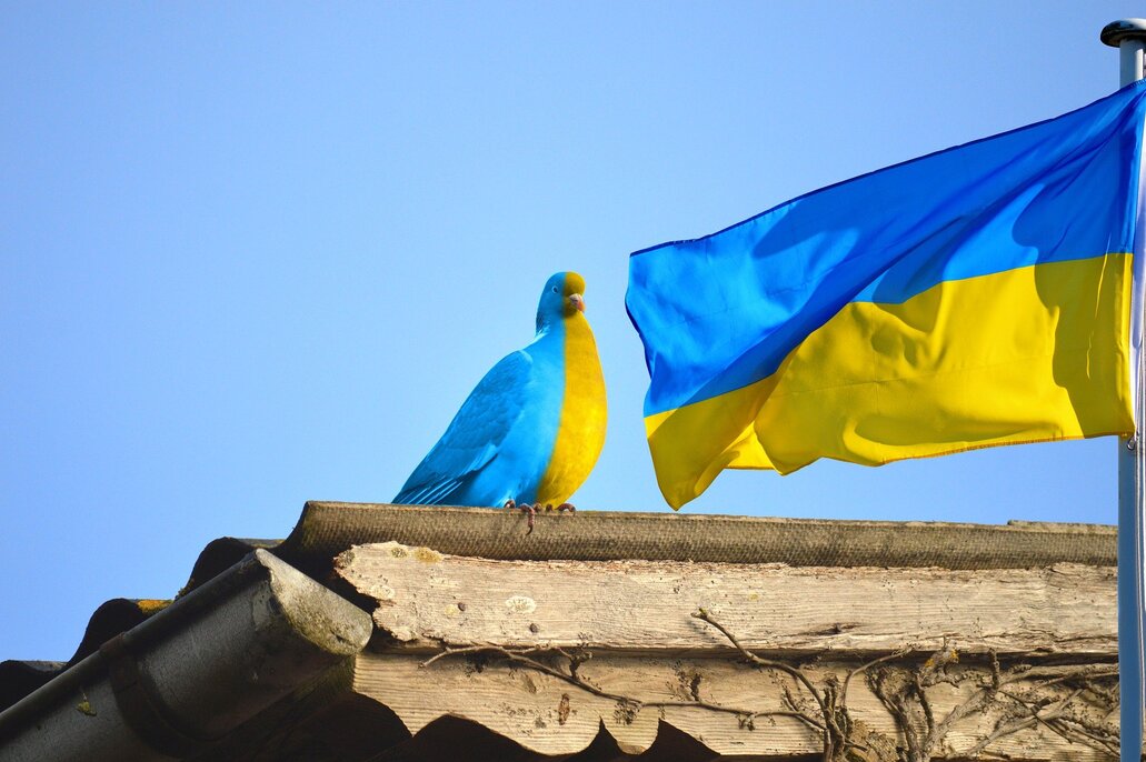 Über dem Dachfirts eines Gebäudes weht die ukrainische Flagge